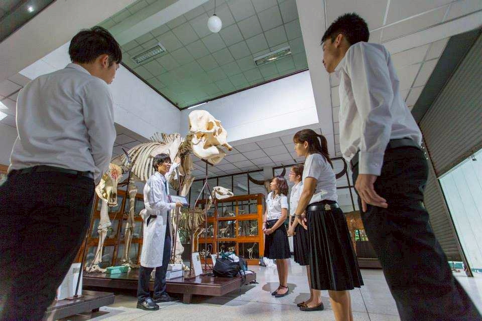 Faculty of Veterinary Medicine - Introduction